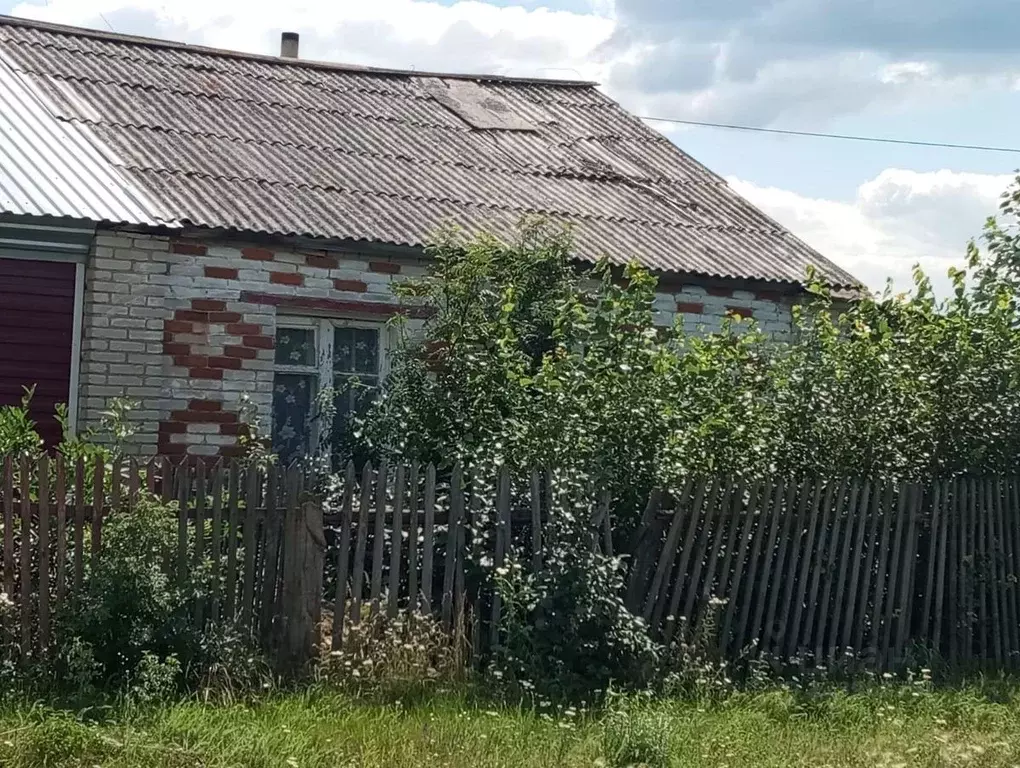 Помещение свободного назначения в Курганская область, Куртамышский ... - Фото 1