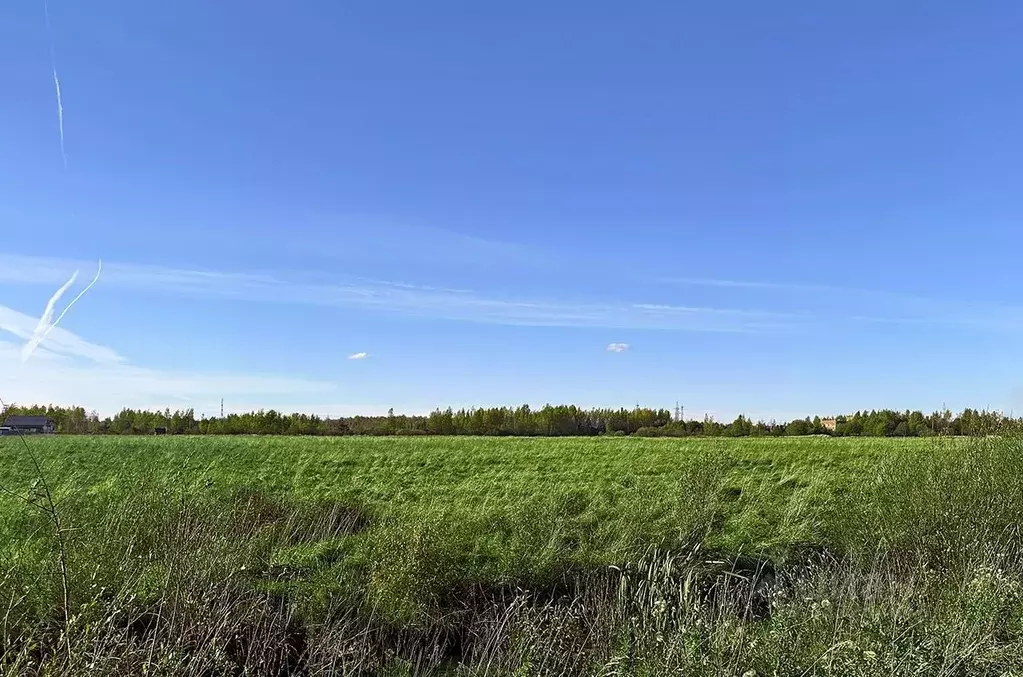 Участок в Санкт-Петербург, Санкт-Петербург, Петергоф ш. Ольгинское, ... - Фото 1