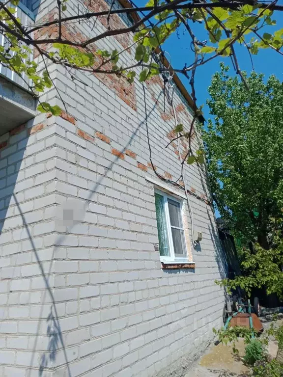 Дом в Волгоградская область, Волгоград Червленое СНТ,  (50 м) - Фото 1