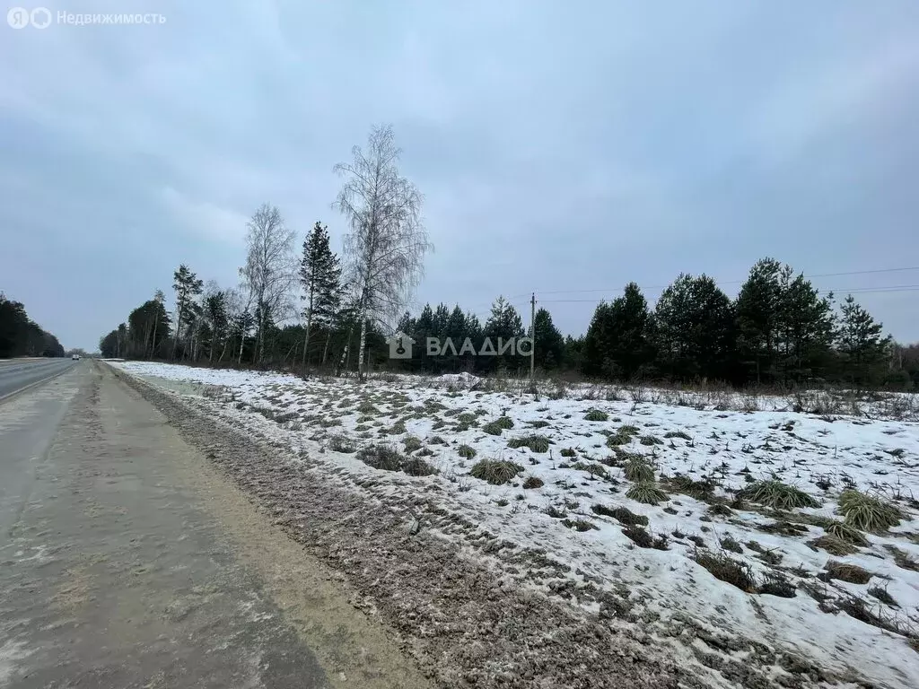 Участок в Судогодский район, муниципальное образование Головинское, ... - Фото 1