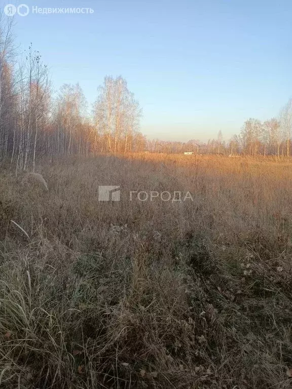 Участок в Толмачёвский сельсовет, коттеджный посёлок Богатырь (8.8 м) - Фото 1