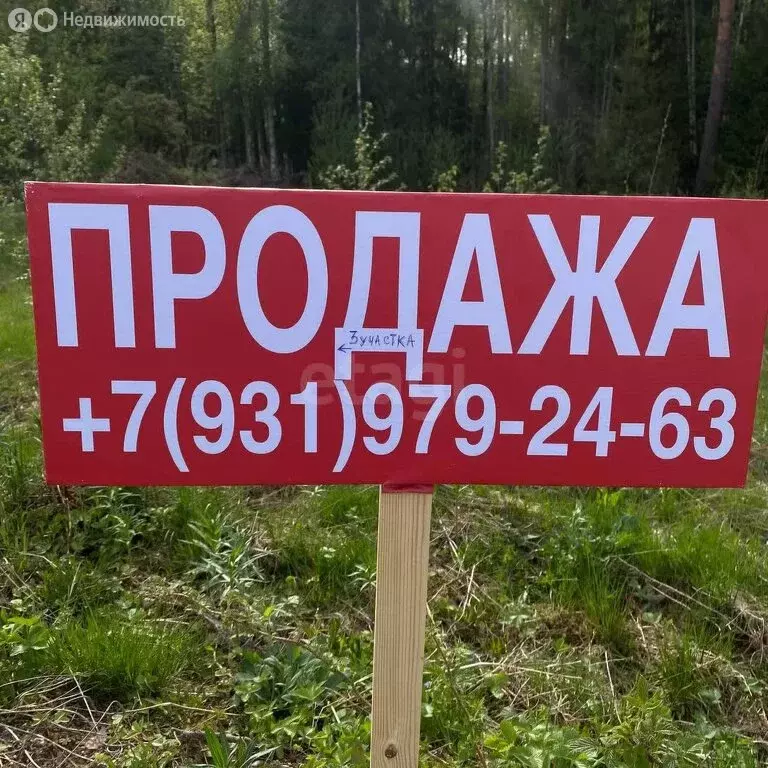 Участок в Приозерский район, Красноозёрное сельское поселение, деревня ... - Фото 1