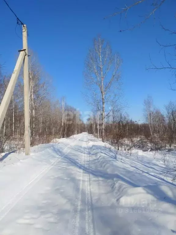 Участок в Хабаровский край, Комсомольск-на-Амуре  (10.0 сот.) - Фото 0