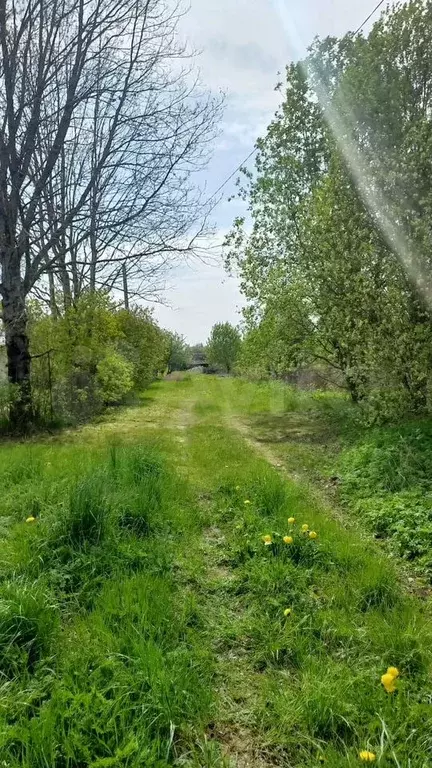 Дом 31,3 м на участке 15 сот. - Фото 0