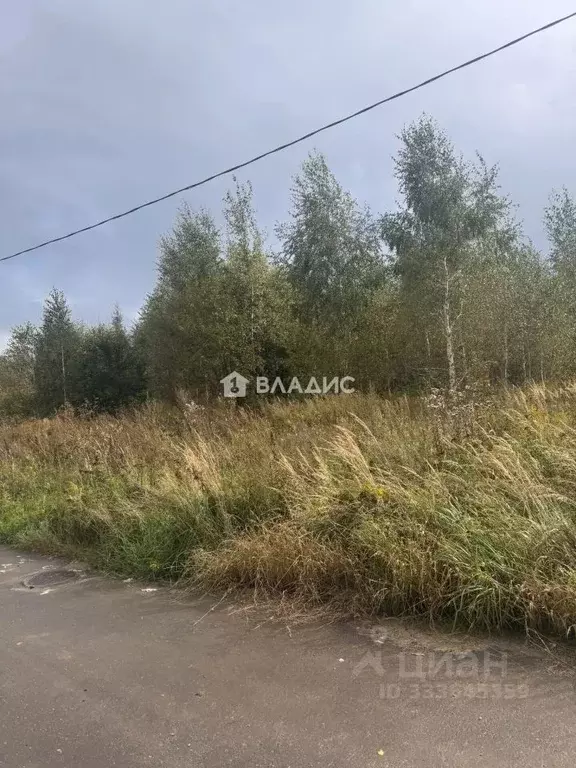 Участок в Нижегородская область, Богородский муниципальный округ, с. ... - Фото 1