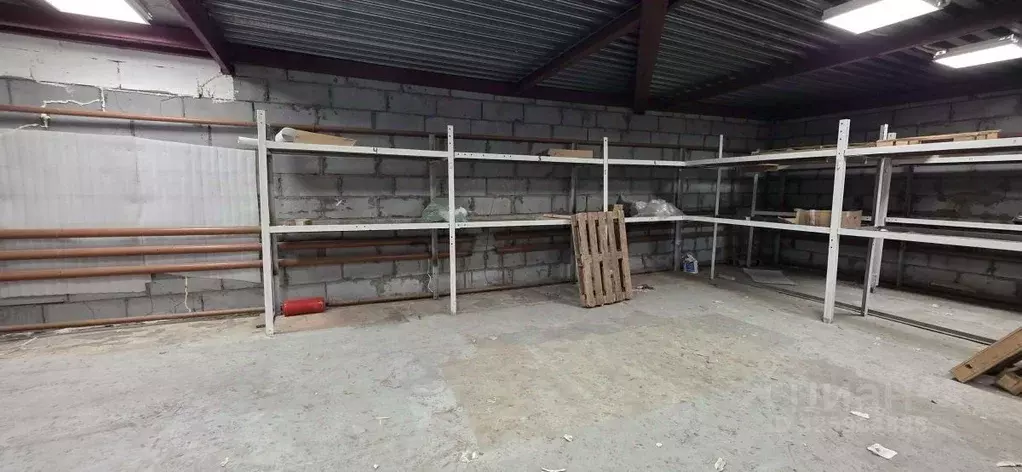 Помещение свободного назначения в Ямало-Ненецкий АО, Новый Уренгой ... - Фото 1