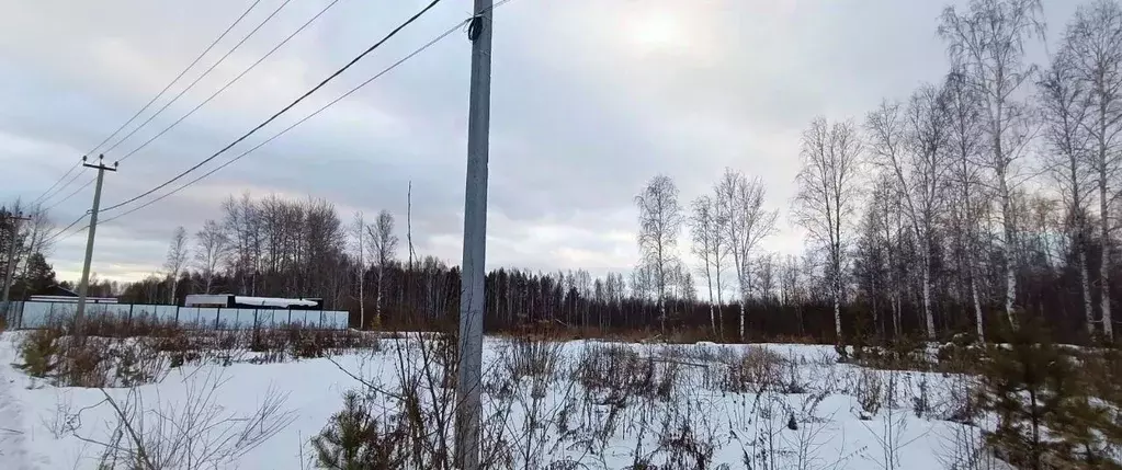 Участок в Свердловская область, Верхнее Дуброво пгт ул. Свободы (23.0 ... - Фото 1