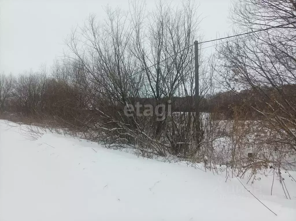 Участок в Томская область, Томск Восход-1 садовое товарищество,  (4.3 ... - Фото 0