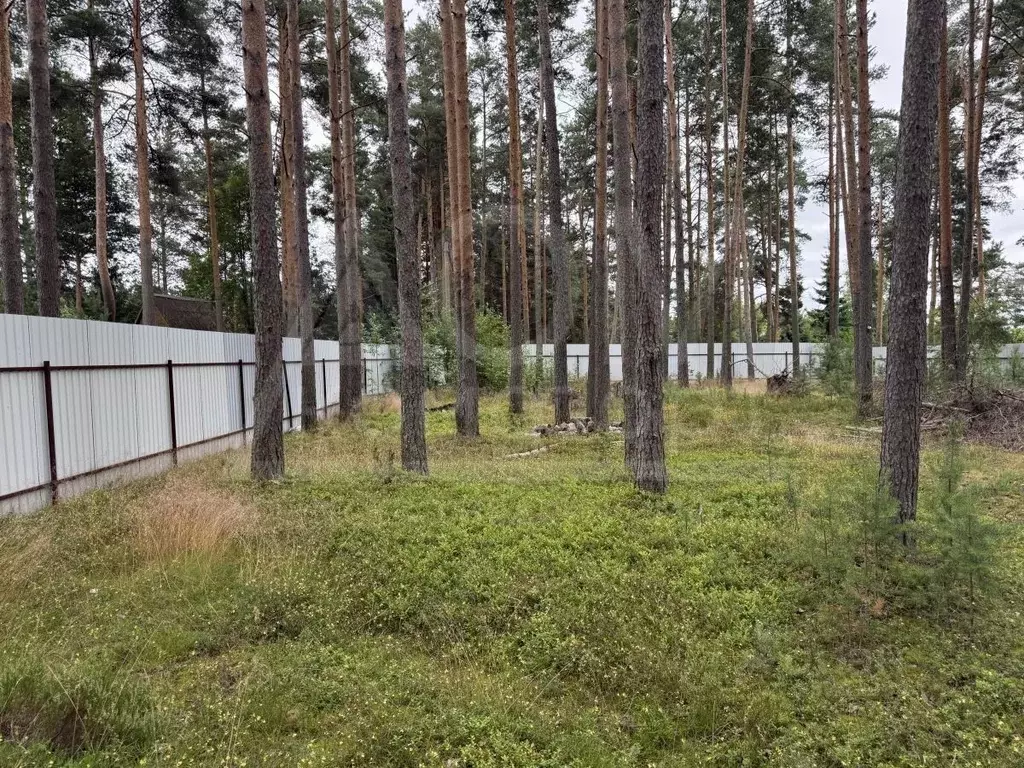 Участок в Ленинградская область, Приозерский район, Ларионовское ... - Фото 1