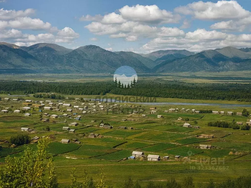 Участок в Алтай, Усть-Коксинский район, с. Нижний Уймон Центральная ... - Фото 1