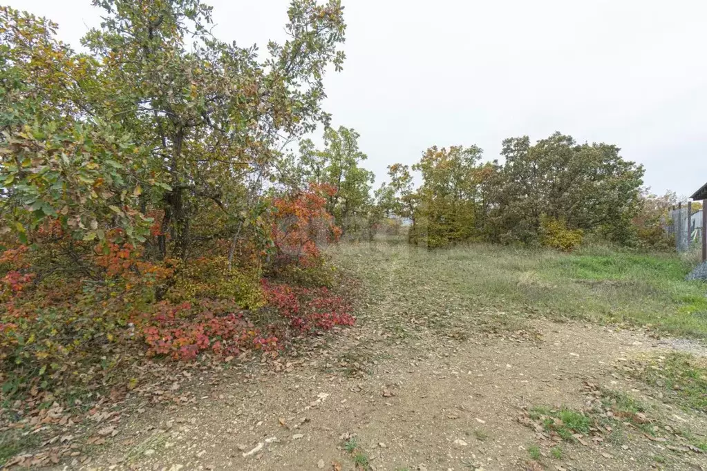 Участок в Севастополь ул. Ясеневая, 85 (5.66 сот.) - Фото 1