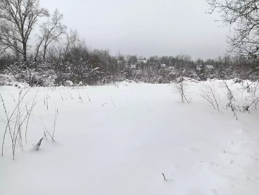Участок в Московская область, Клин городской округ, д. Нагорное  ... - Фото 1
