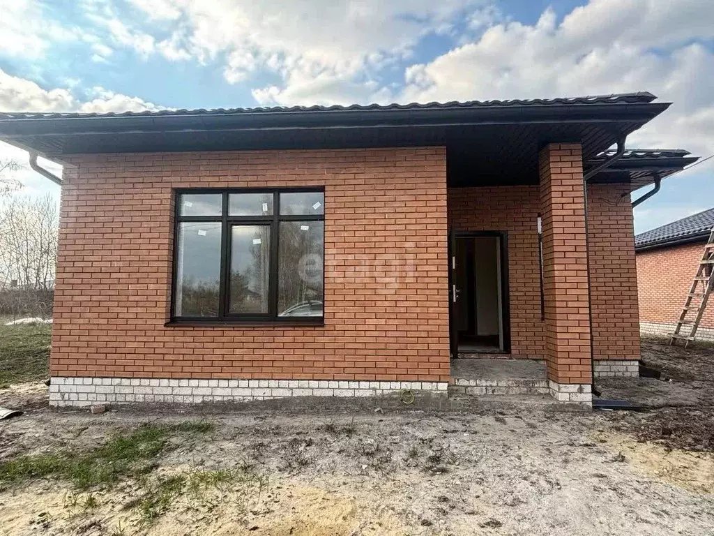 Дом в Воронежская область, с. Новая Усмань ул. Виноградная (90 м) - Фото 0