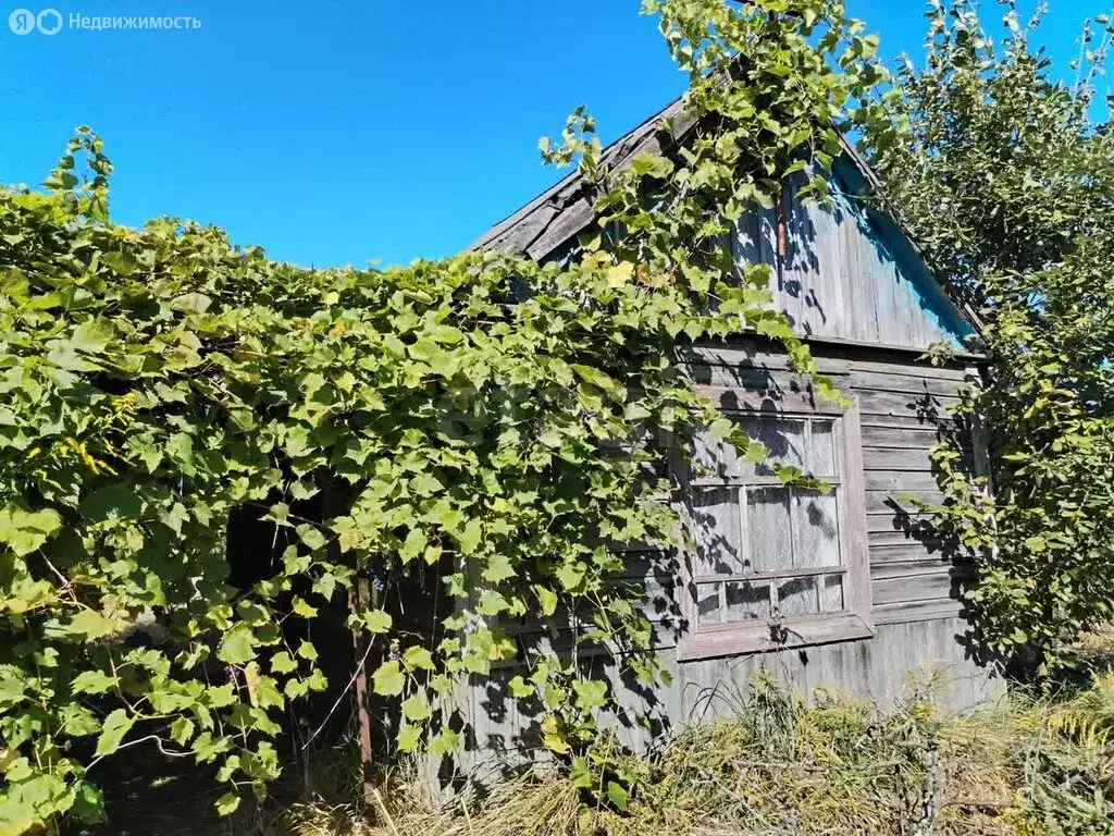 Дом в Нетьинское сельское поселение, СДТ Автозаводец (16.4 м) - Фото 0