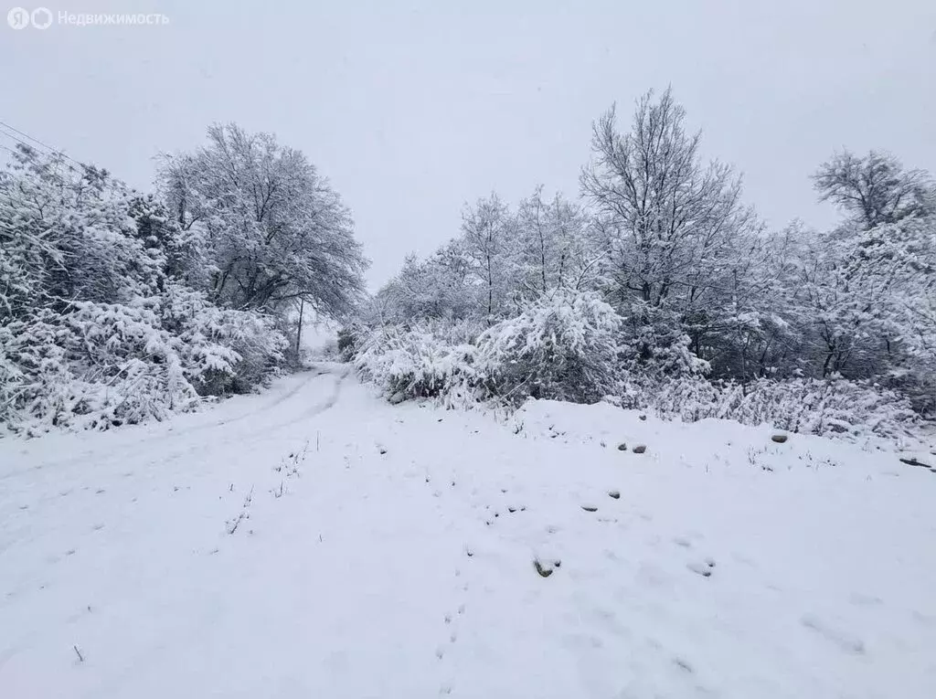Участок в Нальчик, СТ Мичуринец (7.32 м) - Фото 1