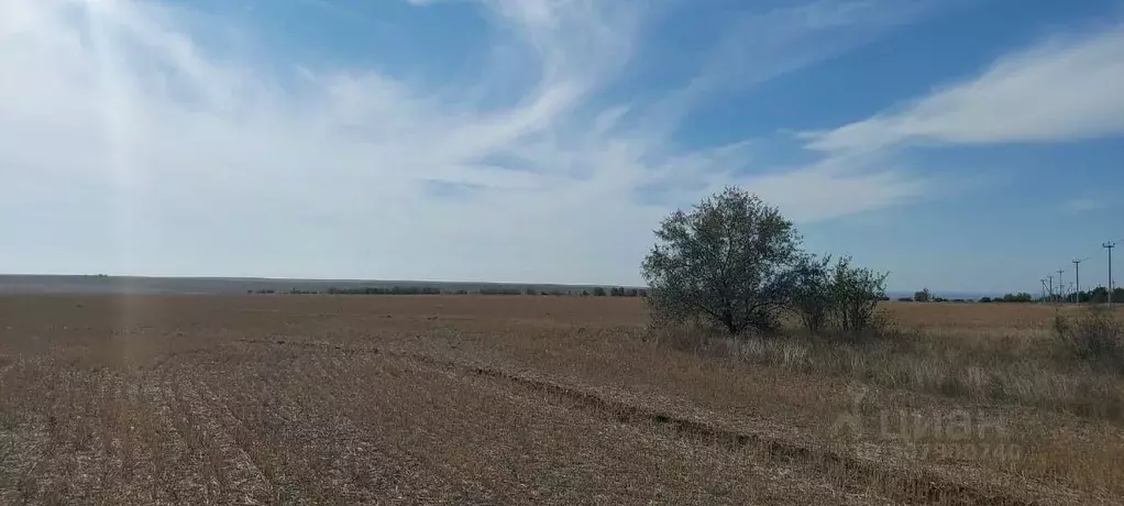 Участок в Крым, Черноморский район, Оленевское с/пос, с. Оленевка  ... - Фото 0