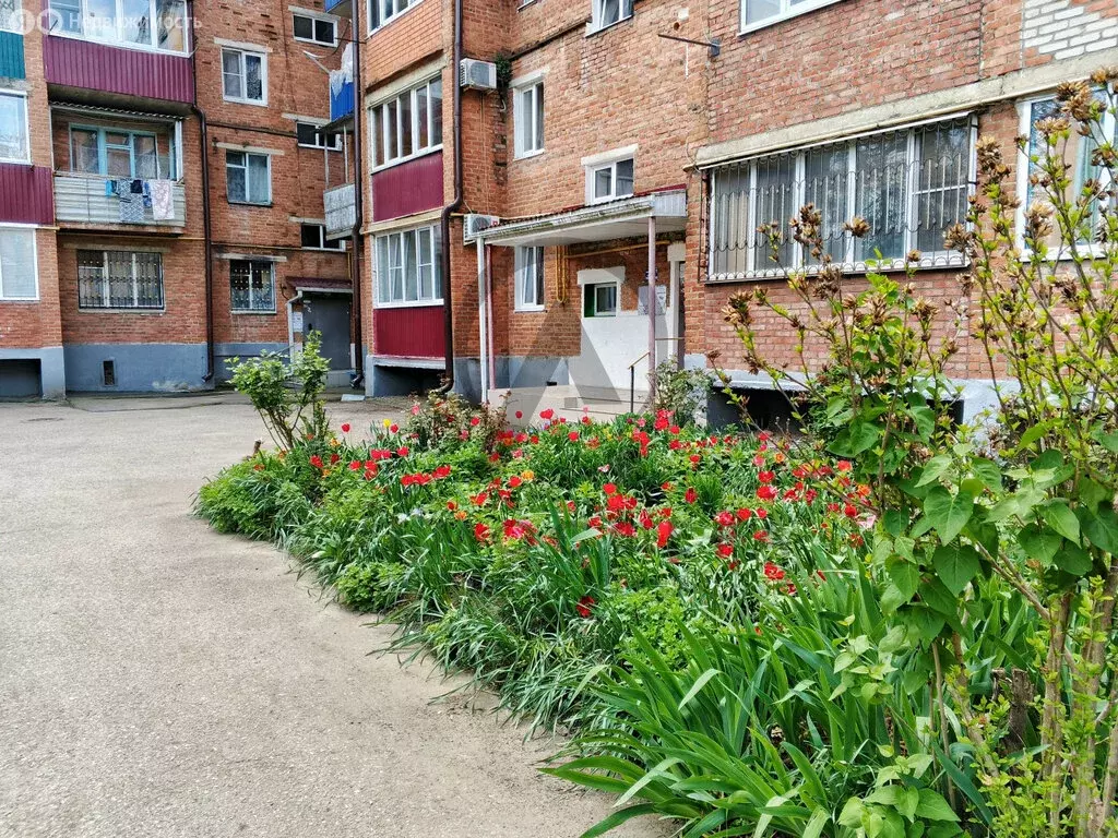 2-комнатная квартира: Апшеронск, улица Ворошилова, 5 (50.9 м) - Фото 2