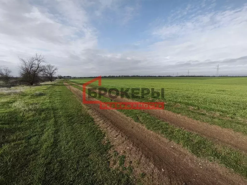 Участок в Крым, Сакский район, с. Ивановка ул. Ватан, 2А (76.0 сот.) - Фото 1