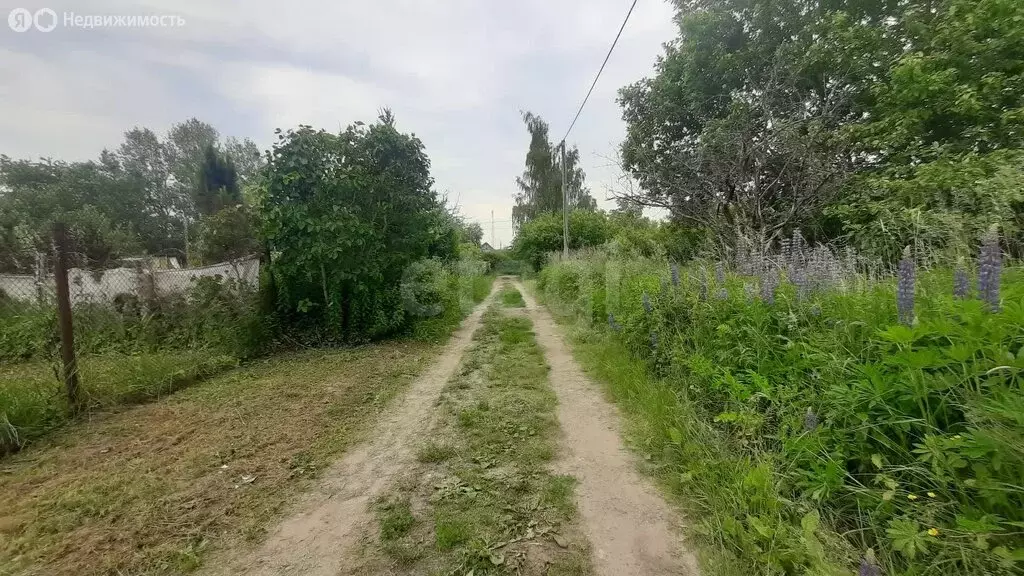 Участок в Гурьевск, СНТ Клубничка (6.38 м) - Фото 0