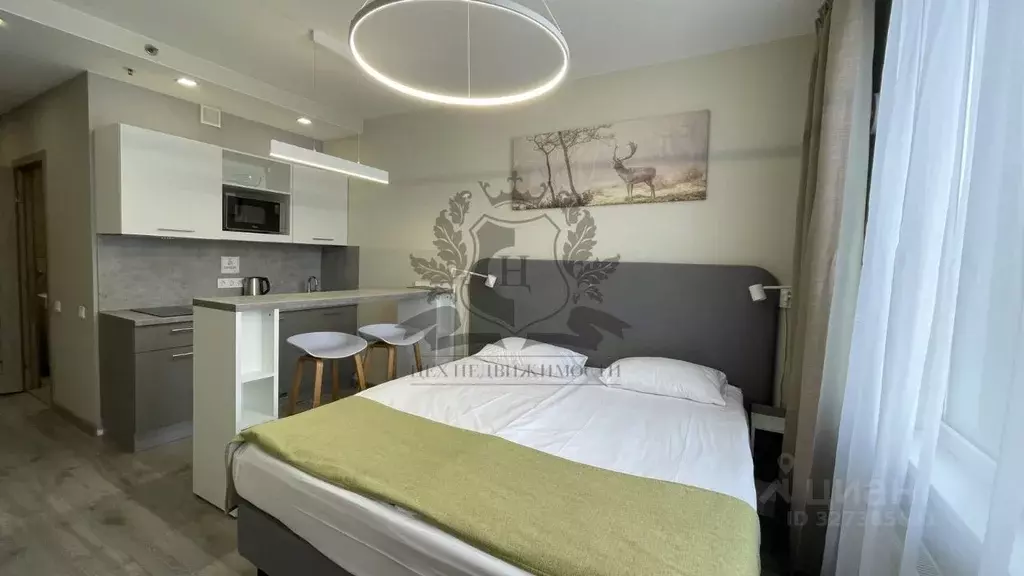 Студия Санкт-Петербург Витебский просп., 101к1 (24.0 м) - Фото 1