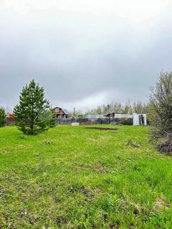 Участок в Тюменская область, Тюменский муниципальный округ, д. ... - Фото 2