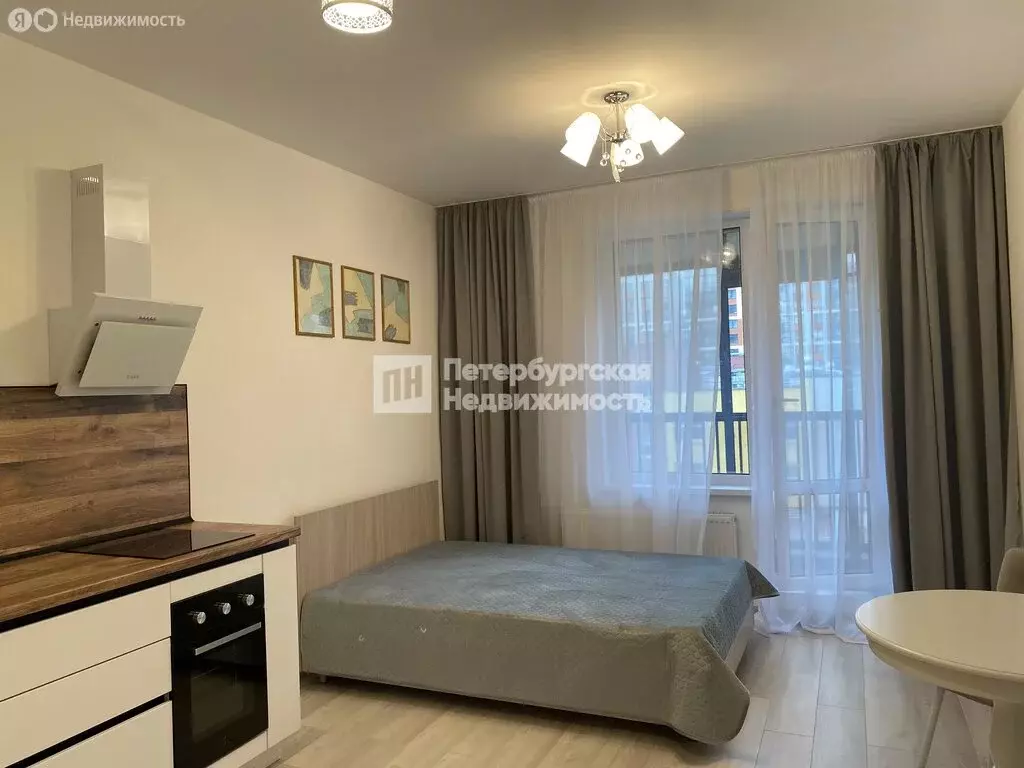 Квартира-студия: Санкт-Петербург, Фарфоровская улица, 7к2 (24.3 м) - Фото 2