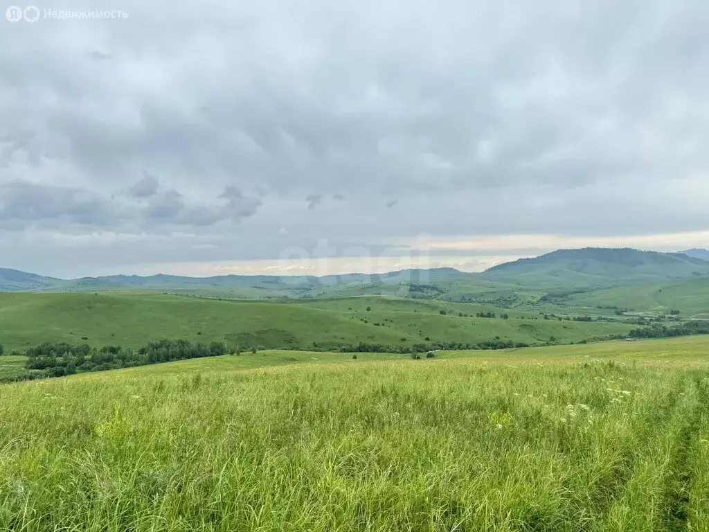 Участок в Алтайский район, ДНТ Жемчужина Алтая (10.5 м) - Фото 1