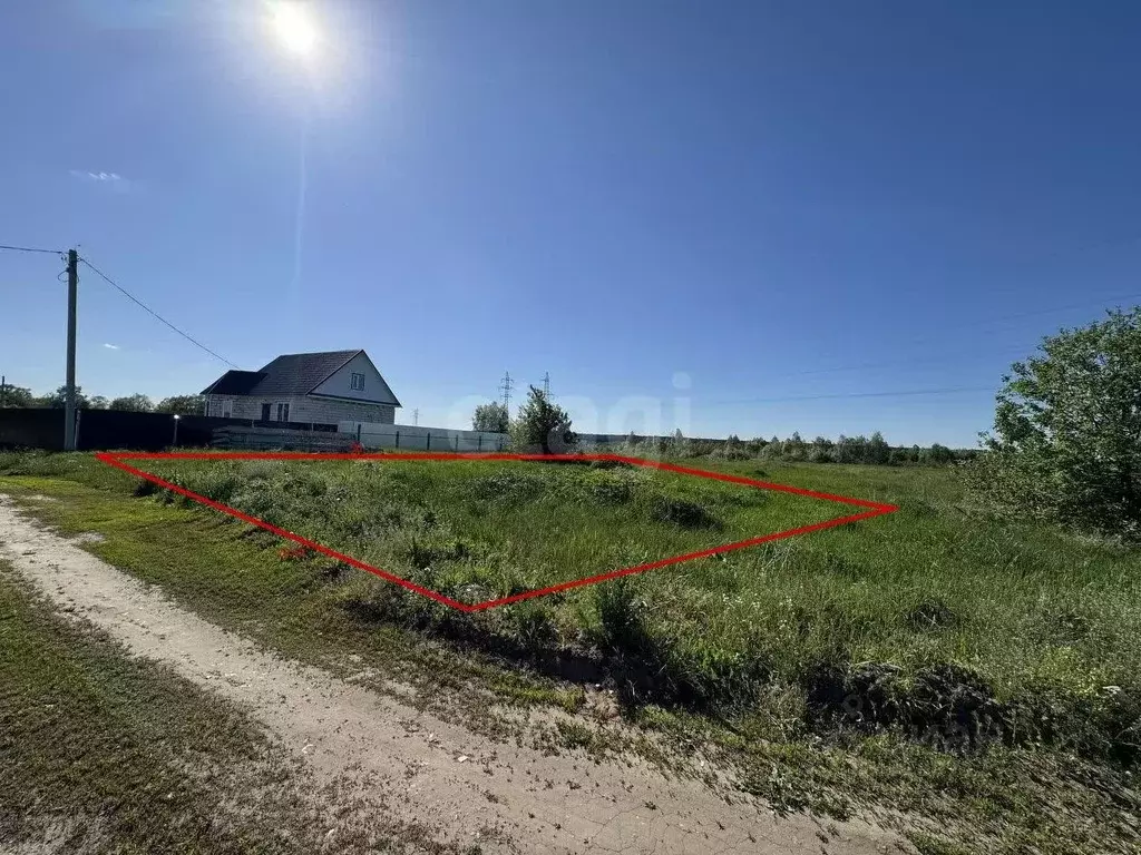 Участок в Мордовия, Ковылкинский район, Кочелаевское с/пос, с. ... - Фото 1