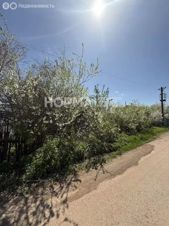 Участок в Октябрьский, улица Суворова (7.5 м) - Фото 0