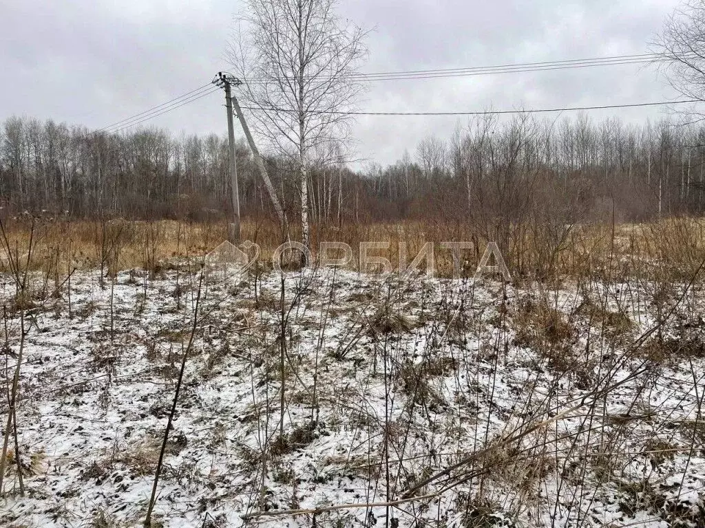 Участок в Тюменская область, Тюменский район, с. Горьковка  (6.0 сот.) - Фото 0