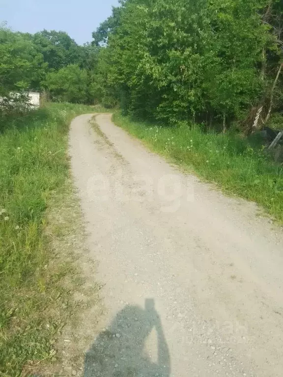 Участок в Приморский край, Артемовский городской округ, с. Суражевка ... - Фото 0