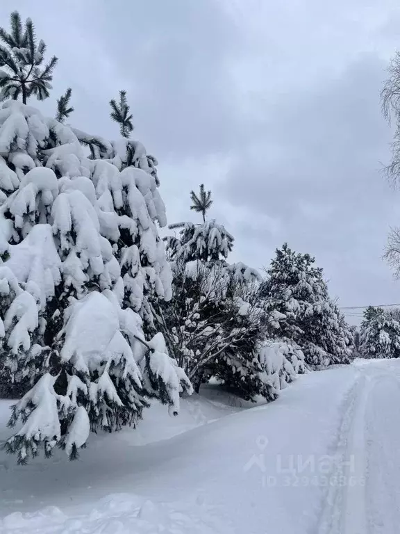 Дом в Московская область, Рузский муниципальный округ  (50 м) - Фото 2