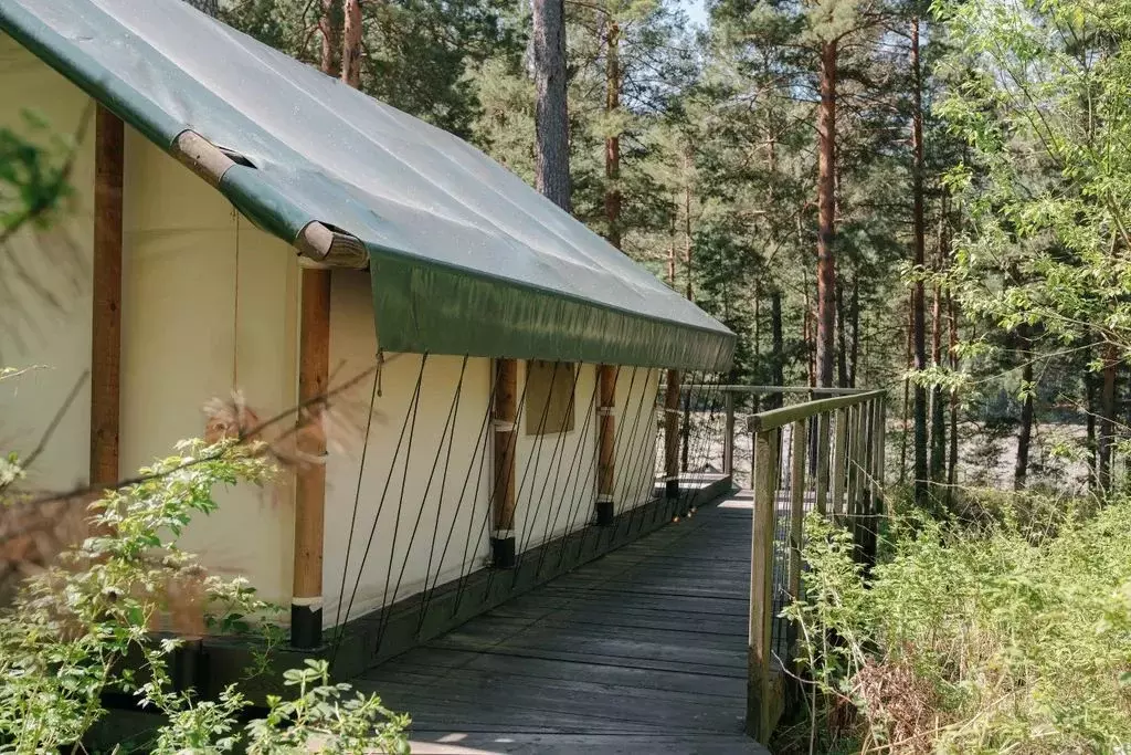 Дом в Алтай, Чемальский район Чемальский тракт, 10 км, 1/1 (22 м) - Фото 1