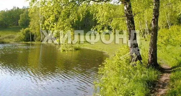 Участок в Новосибирская область, Новосибирский район, Плотниковский ... - Фото 0
