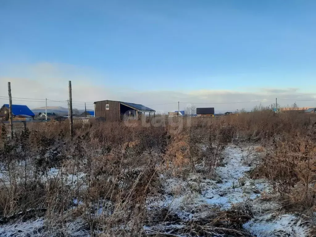 Участок в Алтайский край, Алтайский район, с. Алтайское ул. Полевая ... - Фото 1