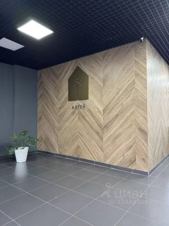 Студия Пензенская область, Пенза ул. Яшиной, 6 (30.0 м) - Фото 2