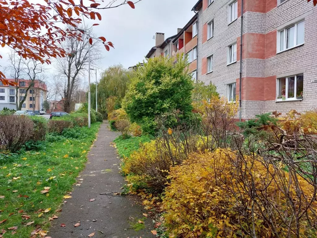 2-к кв. Калининградская область, Калининград Бассейная ул., 31 (58.0 ... - Фото 1