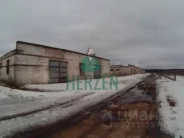 Производственное помещение в Москва д. Кузнецово,  (10000 м) - Фото 1