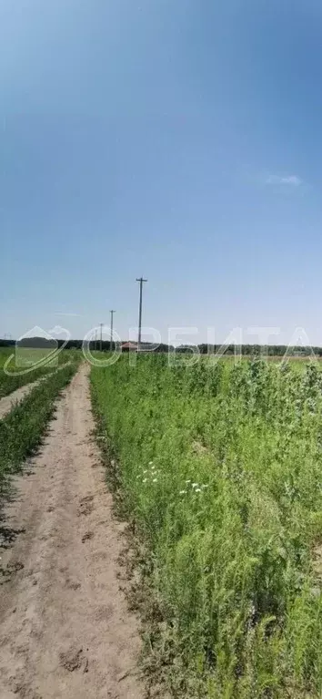 Участок в Тюменская область, Тюменский муниципальный округ, Соловьиная ... - Фото 1