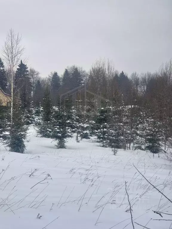 Участок в Московская область, Сергиево-Посадский городской округ, ... - Фото 1