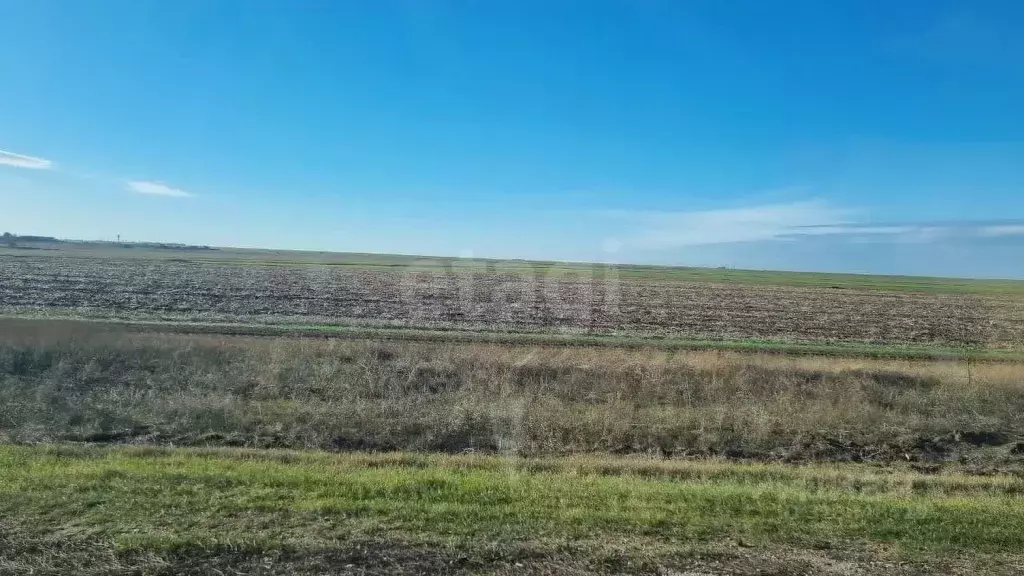 Участок в Крым, Раздольненский район, Березовское с/пос, с. Нива  ... - Фото 0