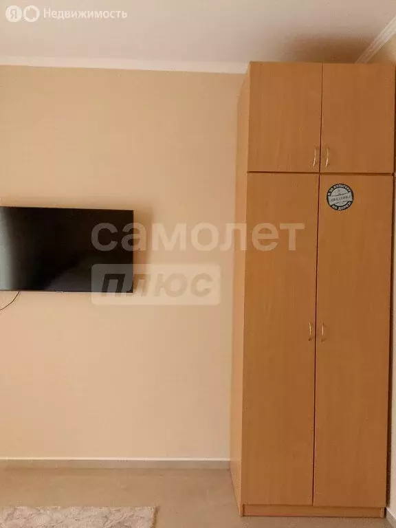 Квартира-студия: Николаевка, Чудесная улица, 54 (31 м) - Фото 2