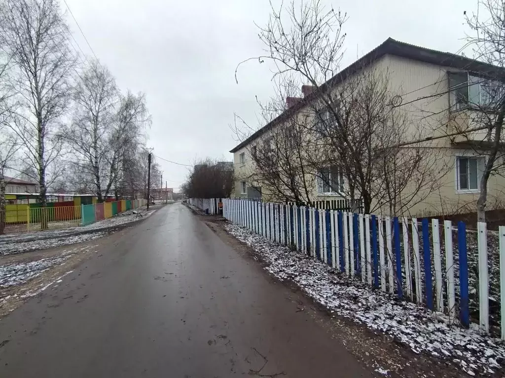 2-к кв. Мордовия, с. Кочкурово ул. Школьная, 55 (43.3 м) - Фото 1