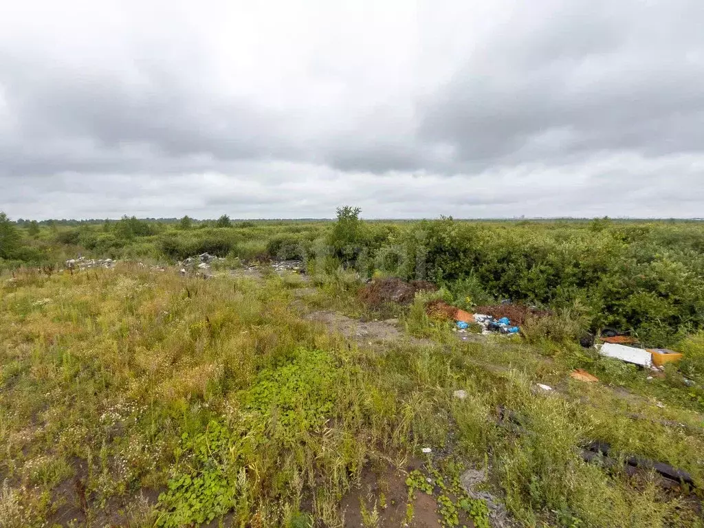 Участок в Тюменская область, Тюмень Ягодное СНТ, ул. Заречная (11.0 ... - Фото 1