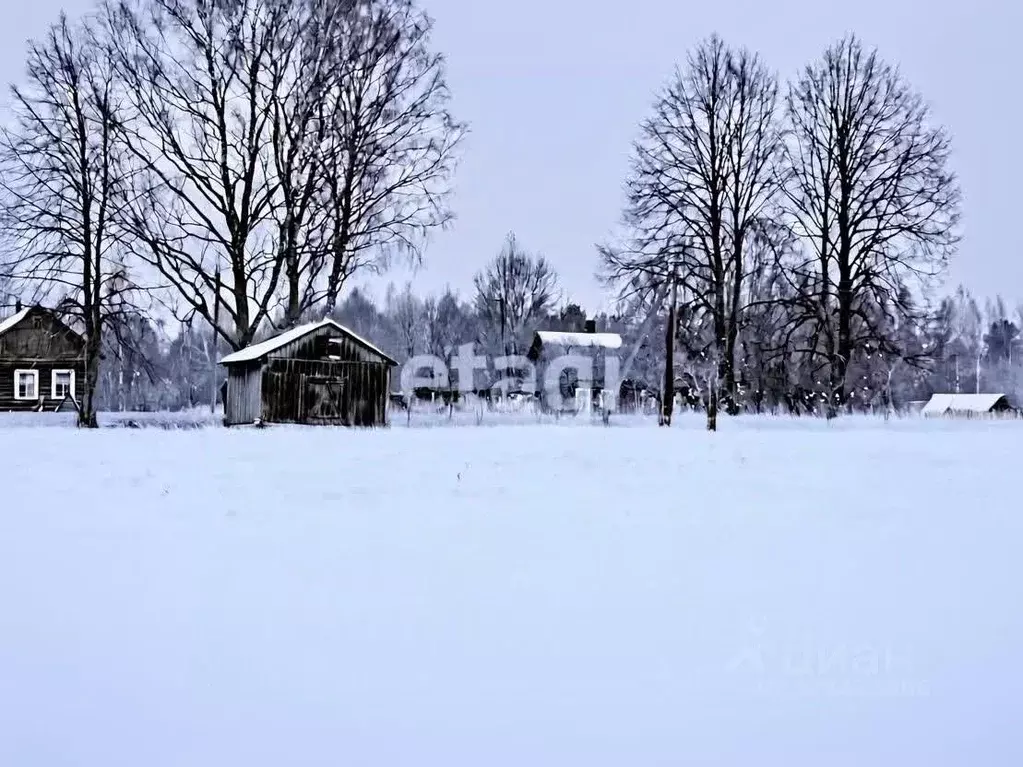 Участок в Смоленская область, Демидовский муниципальный округ, д. ... - Фото 2