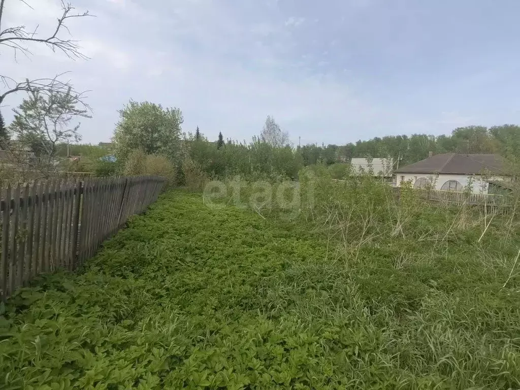 Участок в Новосибирская область, Новосибирский район, с. Раздольное ... - Фото 2