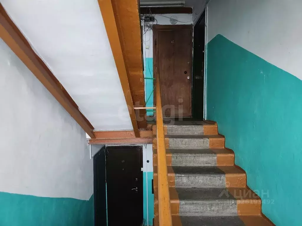 3-к кв. Коми, Сыктывкар ул. Пушкина, 28 (56.0 м) - Фото 2