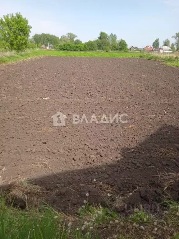 Дом в Нижегородская область, Арзамас городской округ, с. Шерстино  (40 ... - Фото 1