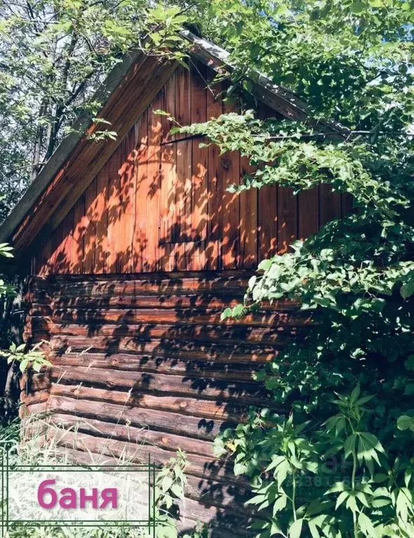 Участок в Новосибирская область, Новосибирский район, Барышевский ... - Фото 1
