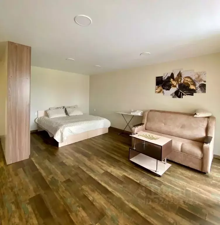 Студия Алтайский край, Белокуриха ул. Соболева, 22 (42.0 м) - Фото 1